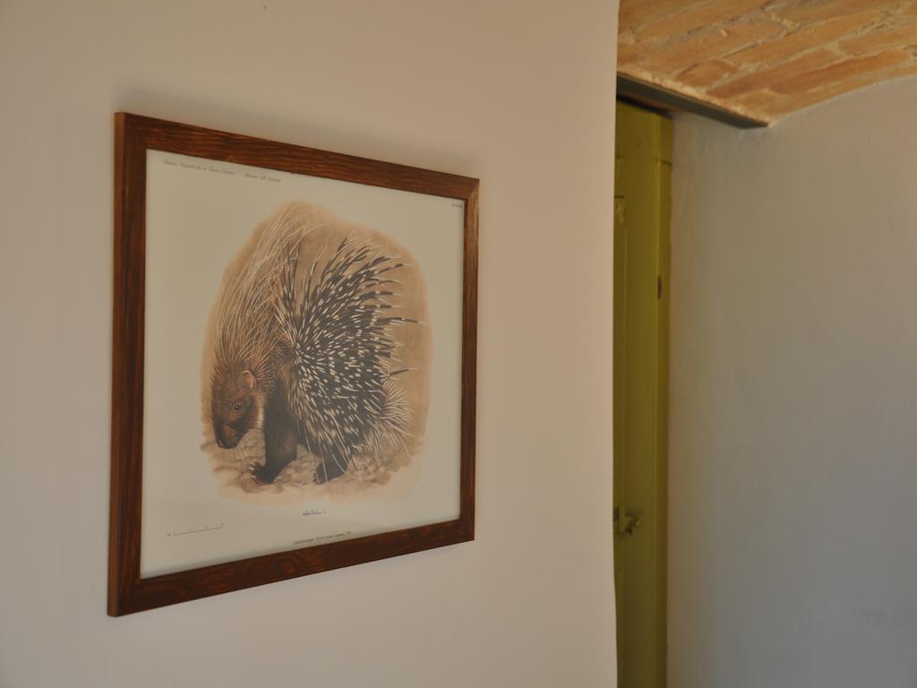Affittacamere Casa Dona' Penne Esterno foto