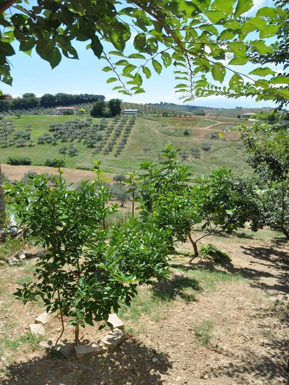 Affittacamere Casa Dona' Penne Esterno foto